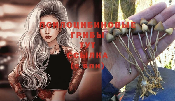 спайс Абаза